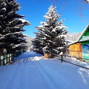 Нижнеудинск