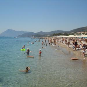 Текирова