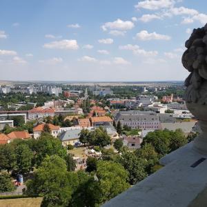 Нитра