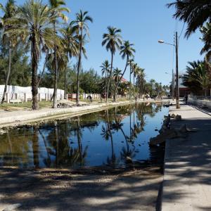 Тулиара