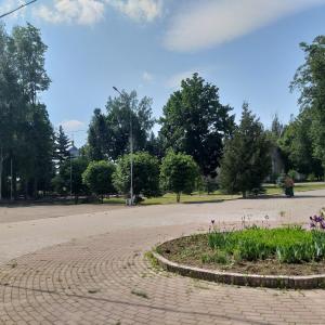 Ельня