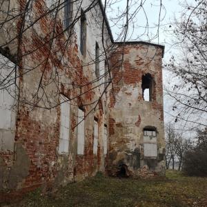 Быхов