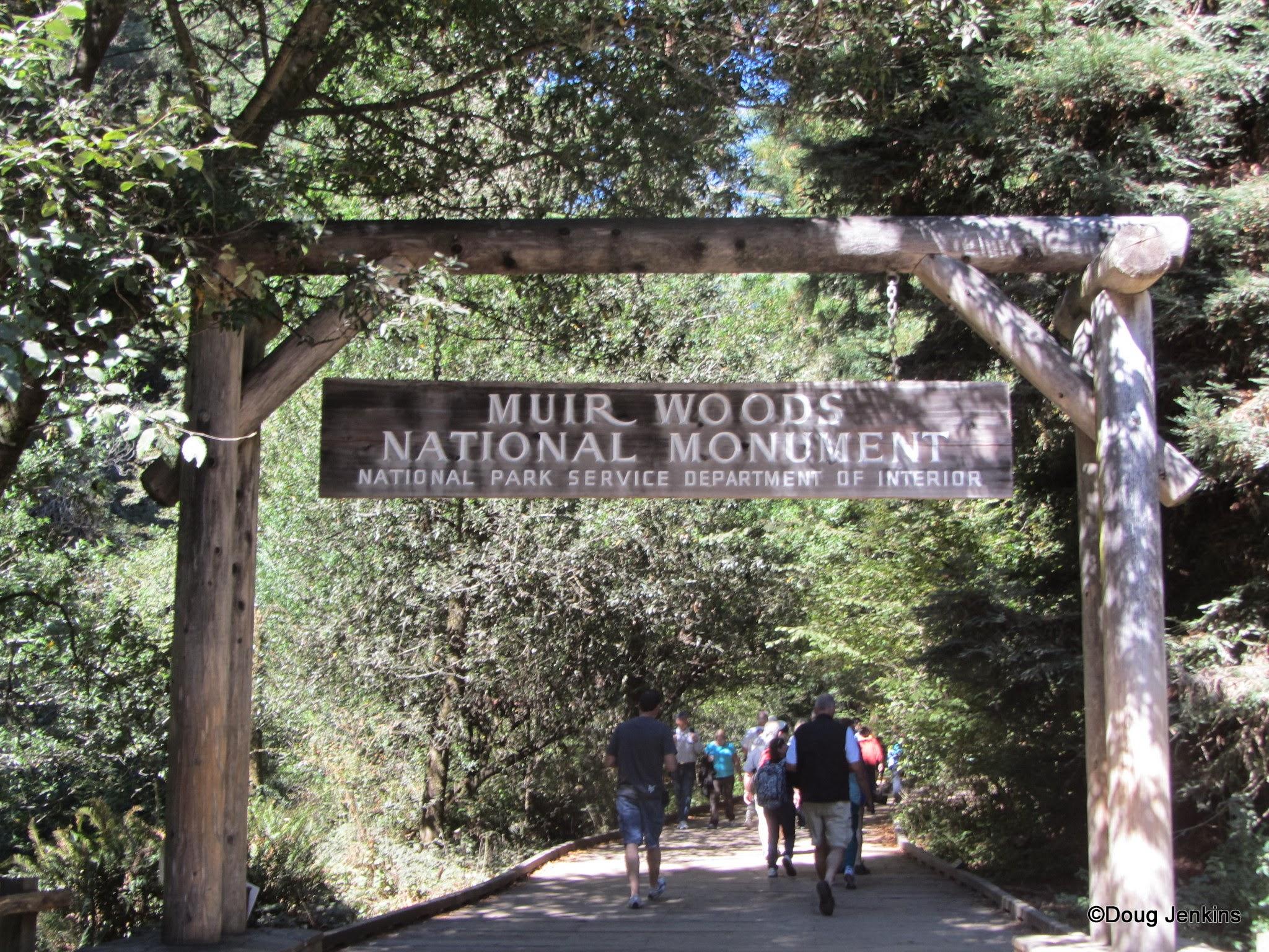 Национальный заповедник Muir Woods