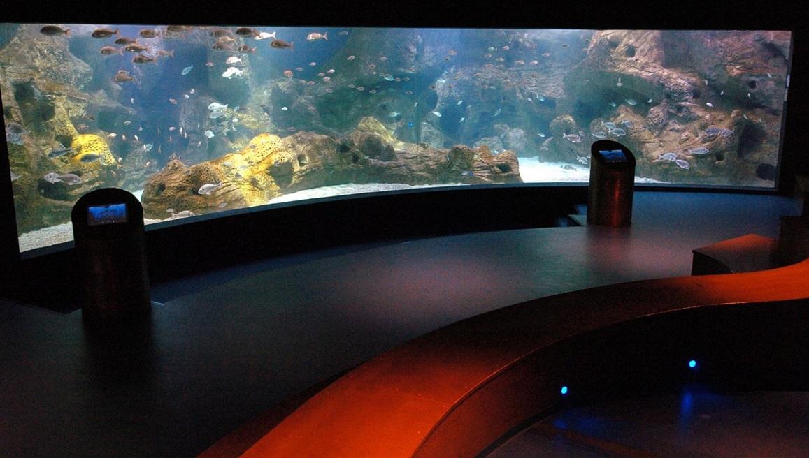 Aquaworld Аквариум и Центр Спасения Рептилий