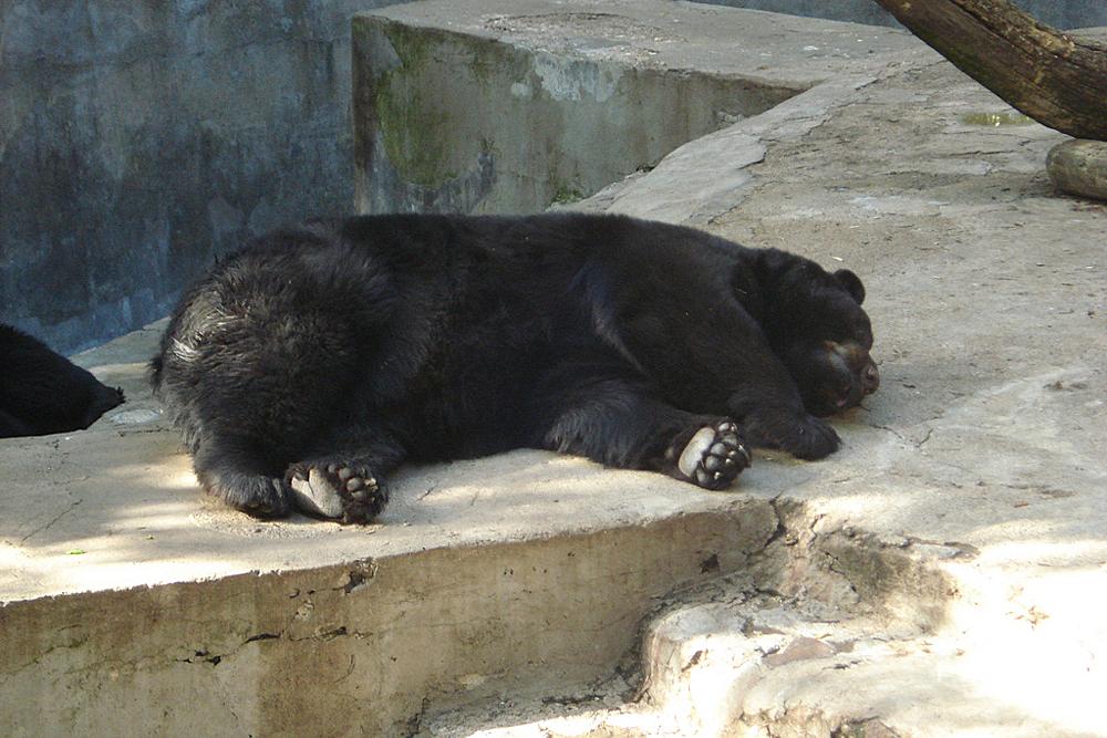 Литовский зоосад